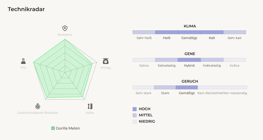 Technikradar und Genetikprofil von Gorilla Melon – Visualisierung von Ertrag, THC-Gehalt, Resistenz, Höhe und Blütezeit der potenten Fast Buds Sorte mit Hybrid-Genetik und hohem Melonenaroma
