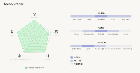 Technikradar von FastBuds Lemon Mandarin – Analyse zu Klimaresistenz, Genetik, Geruchsintensität, THC-Gehalt, Ertrag und Blütezeit